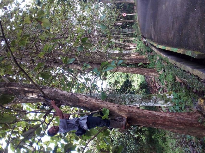 Senin, 24-03-2025<br>