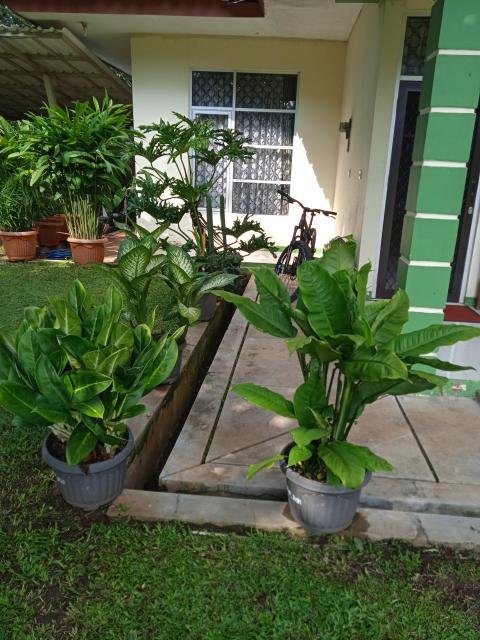 Senin, 24-03-2025<br>