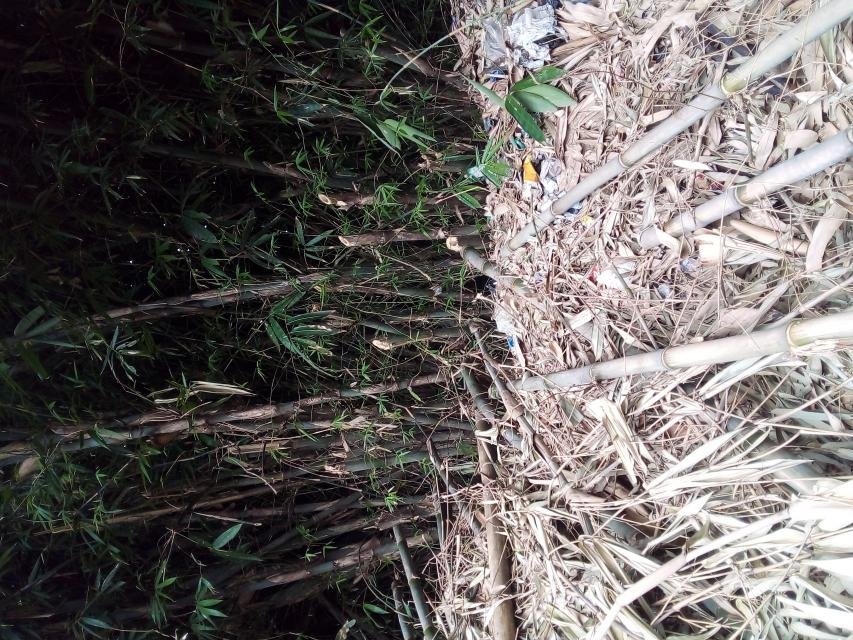 Rabu, 26-03-2025<br>